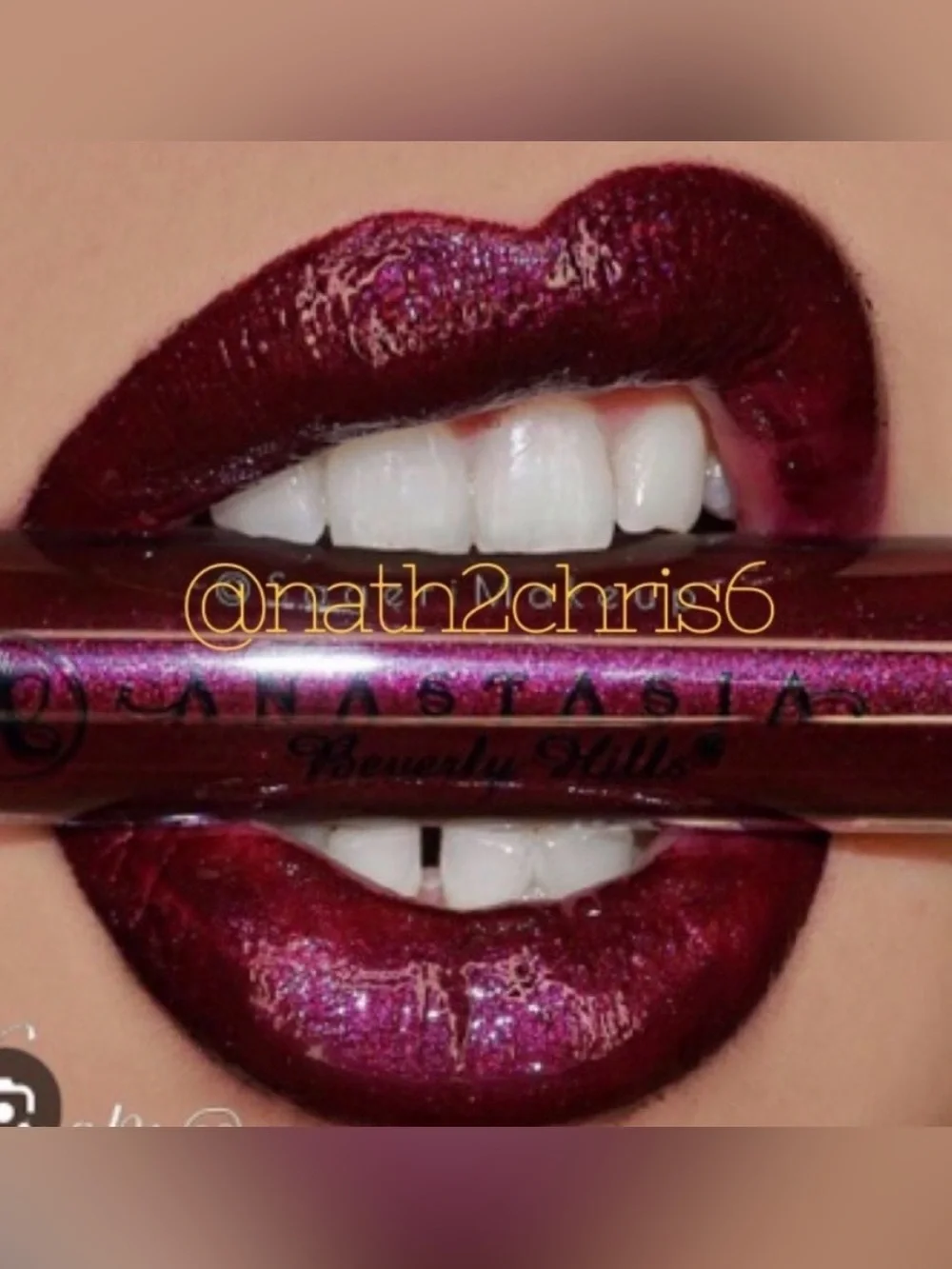 2 Anastasia Beverly Hills Bundle Lipglosses in Socialite and Venom & a lip case